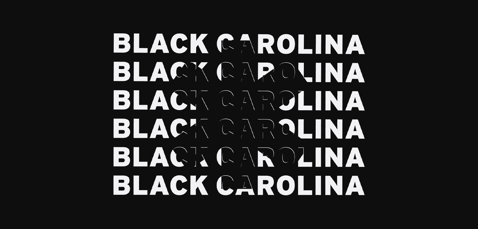 Black Carolina Artist Residency Reception - The Harvey B. Gantt Center ...